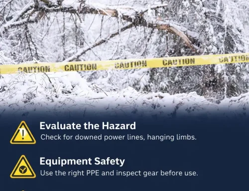 Forestry Mutual Safety Alert – Storm Damage