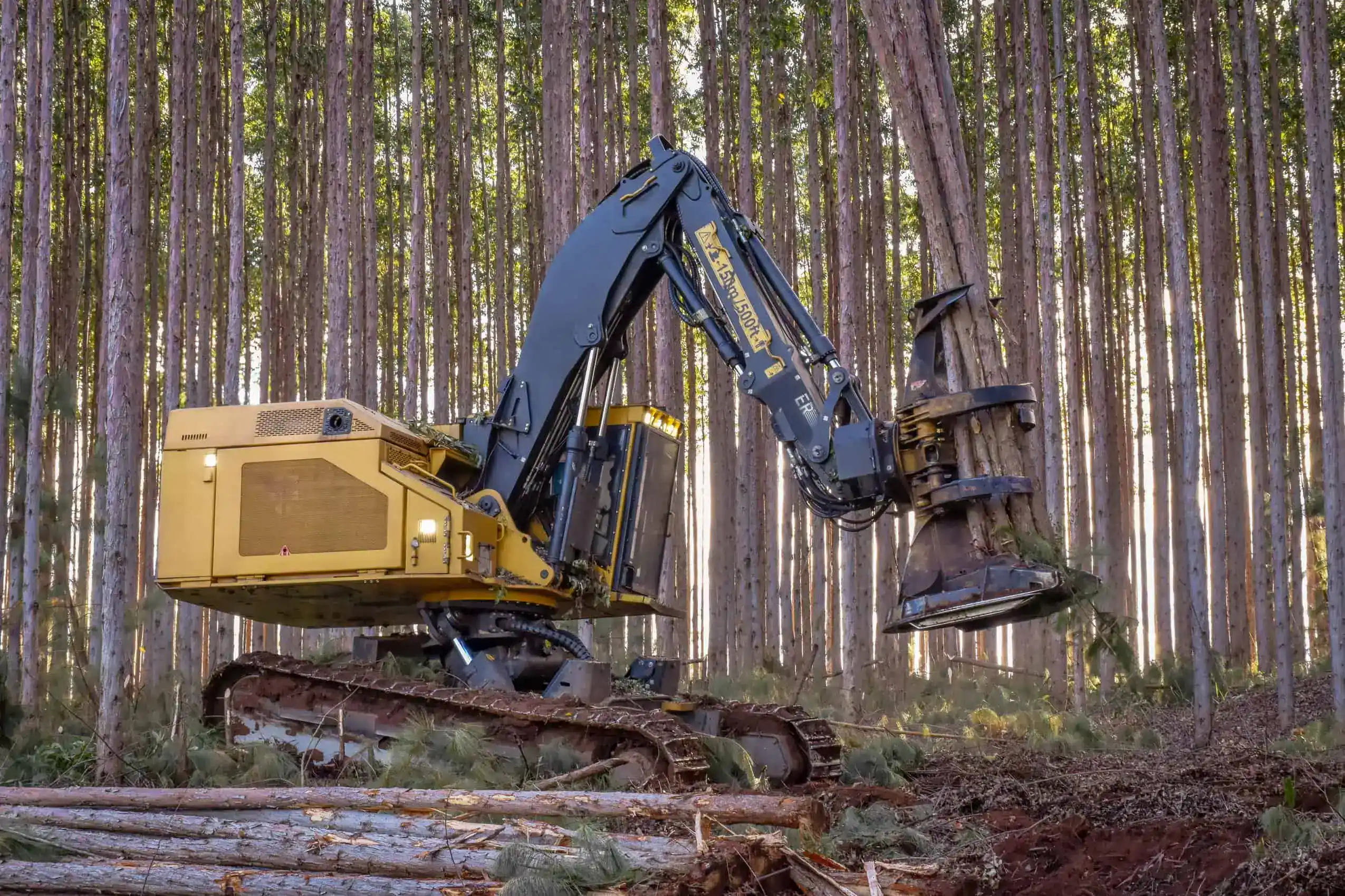 Logging Workers Compensation North Carolina