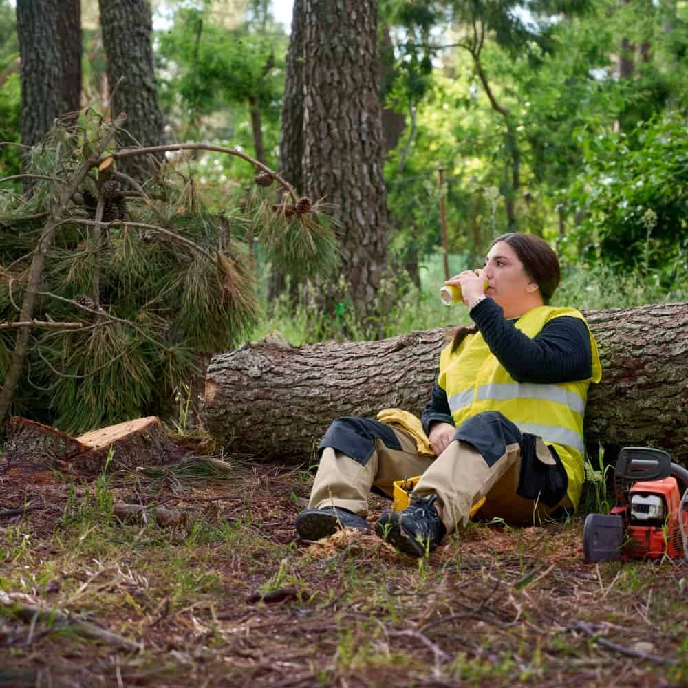 Logging Workers Compensation North Carolina