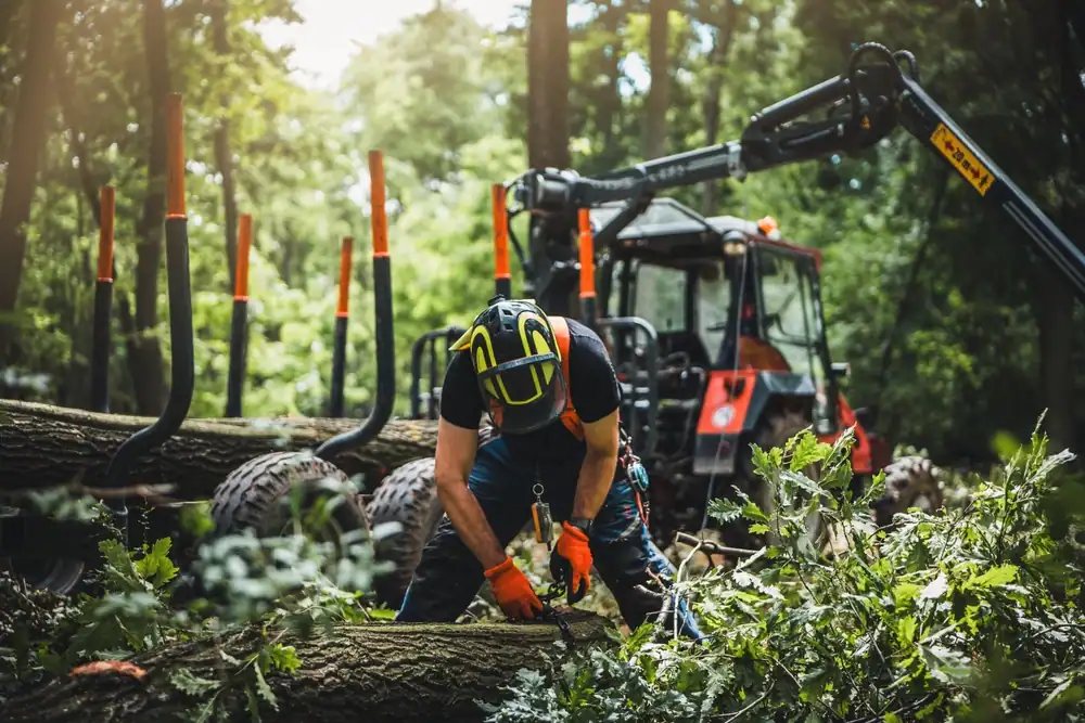 Logging Workers Compensation North Carolina