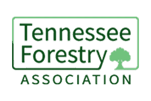 tennessee