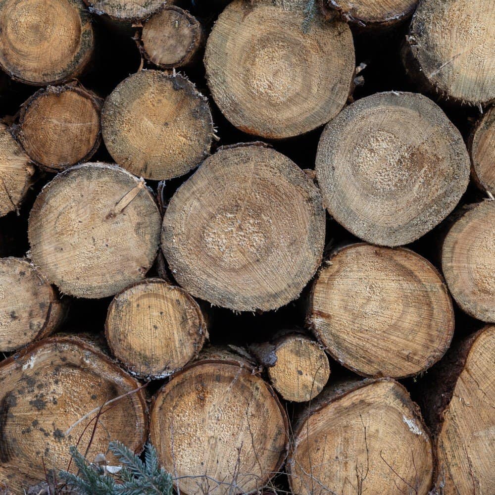Timber Harvesting workers Comp Insurance North Carolina