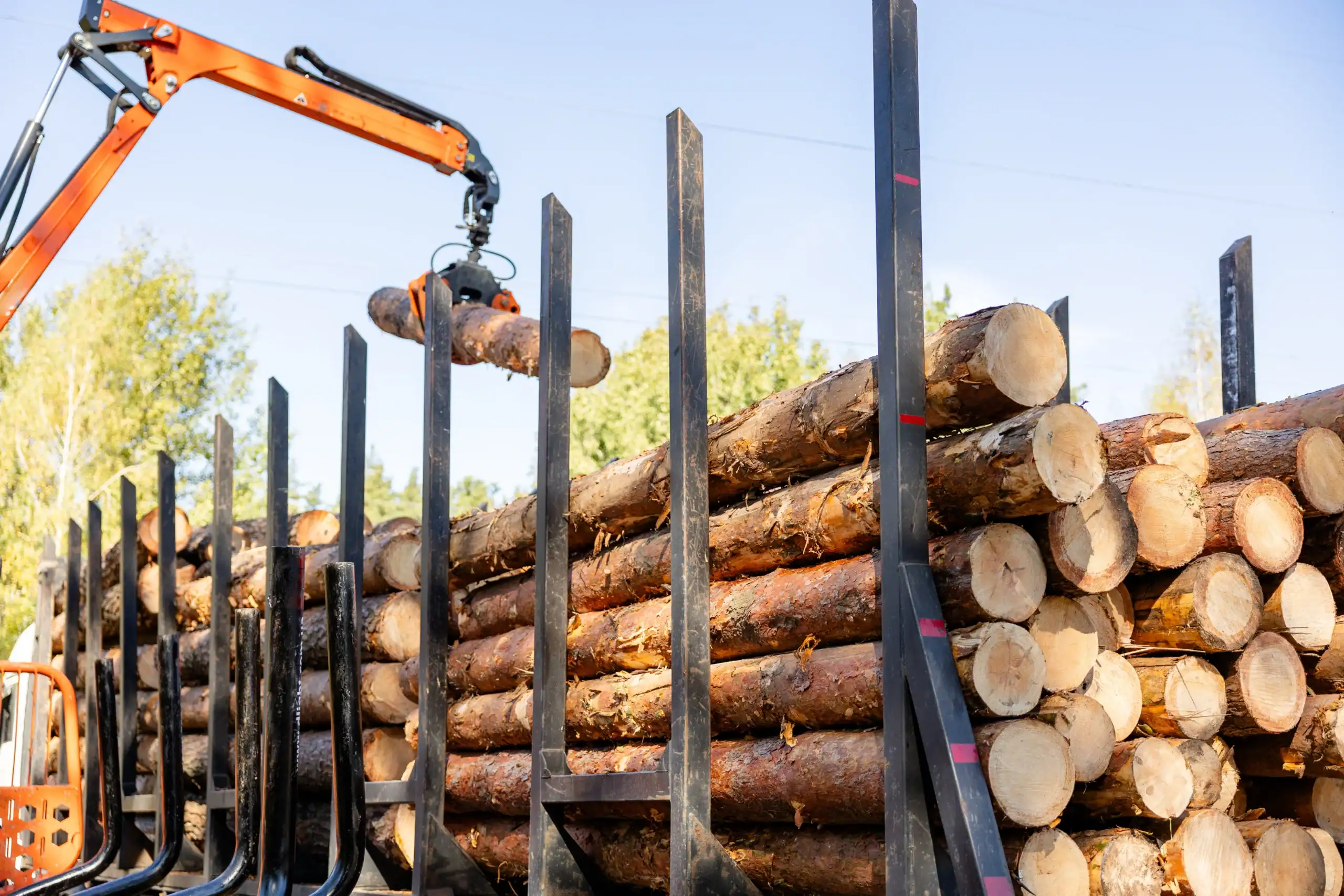 Timber Harvesting workers Comp Insurance North Carolina