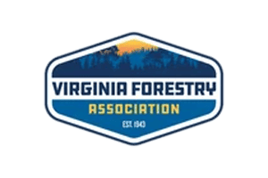 virgin-forestry
