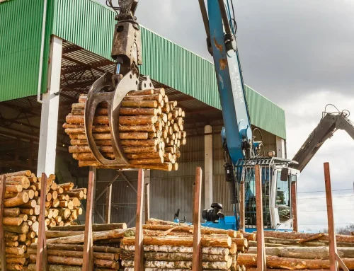 Why Logging Companies Need a Workers’ Compensation Carrier That Understands Their Industry